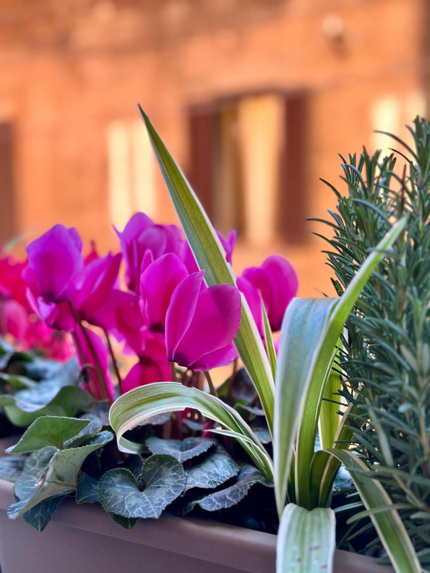 Casa Belfiore Apartment Bologna Exterior photo